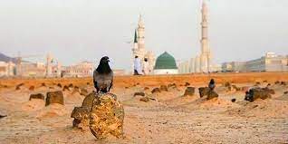 مسجد جامع غدیر خم؛ در سوگ سالروز تخریب بقیع