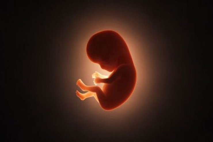سقط جنین در ادیان الهی
