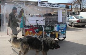 سفر پیاده به مکه از انگلیس با گاری و یک سگ + تصاویر
