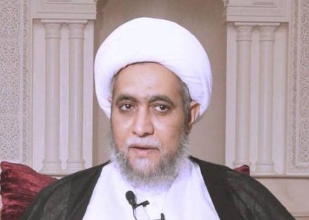  هشدار گزارشگر سازمان ملل درباره سرنوشت روحانی شیعه در عربستان