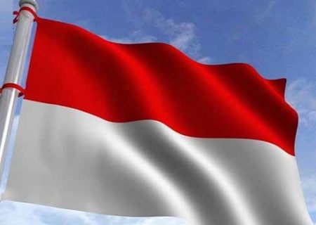 نقش نداشتن لهستان در هولوکاست ادعایی