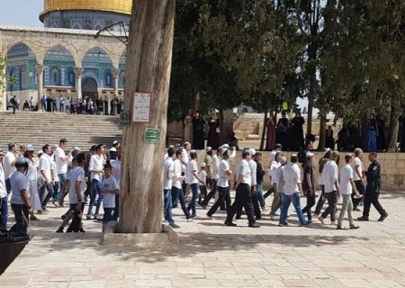 علت مخالفت خاخام‌های اسرائیلی با هتک حرمت مسجد الاقصی