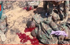 کمین سنگین داعش به ارتش نیجر ۴۸ کشته و زخمی برجا گذاشت