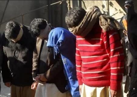 بازداشت ۱۱ تروریست‌ داعش و القاعده در پاکستان