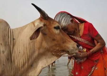 یک مرد مسلمان در هند به دلیل حمل گوشت گاو توسط هندوها کشته شد!