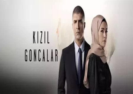 توقیف سریال ترکیه‌ای  به دلیل اهانت به ارزش‌های ملی و معنوی کشور