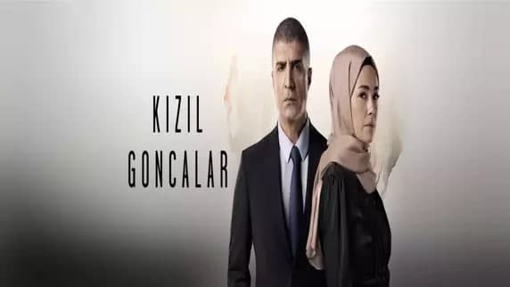توقیف سریال ترکیه‌ای  به دلیل اهانت به ارزش‌های ملی و معنوی کشور