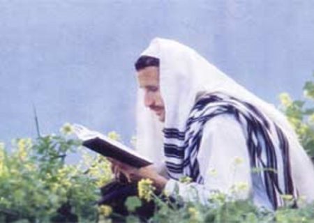 احترام کتب مقدس یهود به طبیعت برای چیست؟