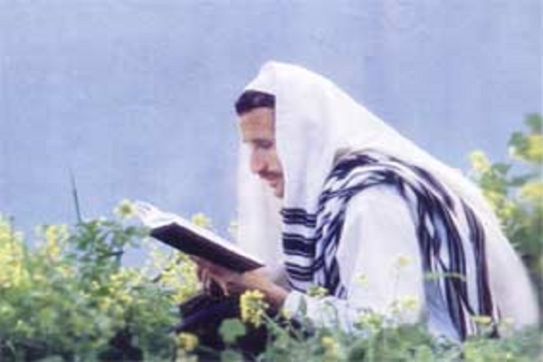 احترام کتب مقدس یهود به طبیعت برای چیست؟