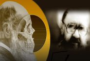 مواجهه فیلسوفانه شهید مطهری با نظریه تکامل داروینی