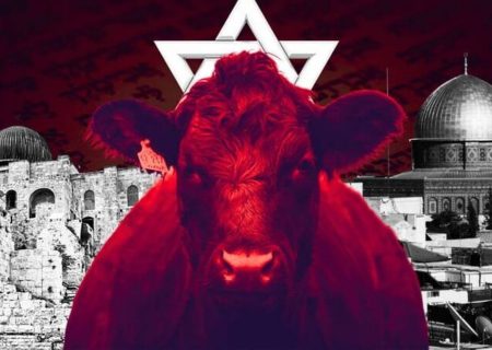 ماجرای گاو سرخ یهود چیست؟