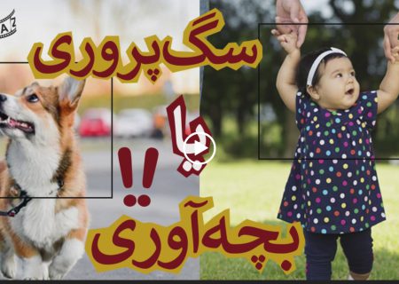 فرزندآوری یا سگ پروری؟ (بخش سوم)