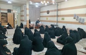 انجمن حجتیه، سایه‌نشین‌های انقلاب