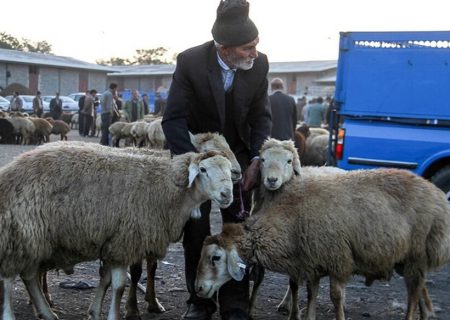 قربانی در اسلام و تفاوتش با سایر ادیان و مذاهب