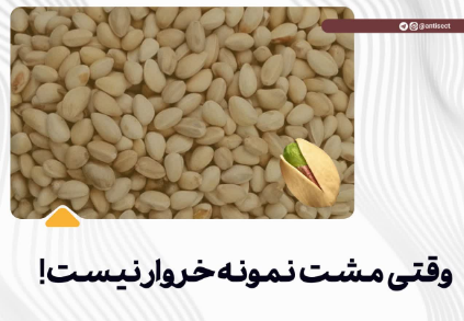 وقتی مشت نمونه خروار نیست!
