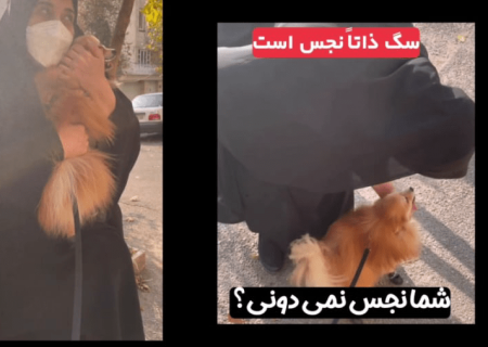 بلاگرها میان حجاب و سگ؛ در جستجوی هویت یا فالوور؟