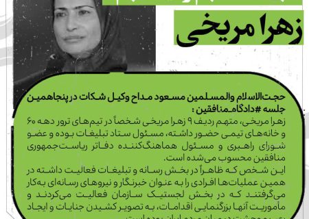 اتهاماتِ متهم ردیف نهم، زهرا مریخی