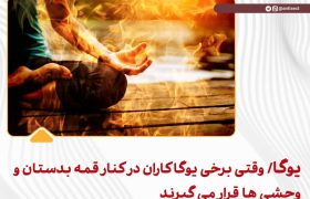 یوگا / وقتی برخی یوگاکاران در کنار قمه بدستان و وحشی ها قرار می گیرند